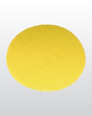 5290 BERG Disque abrasif pour girafe